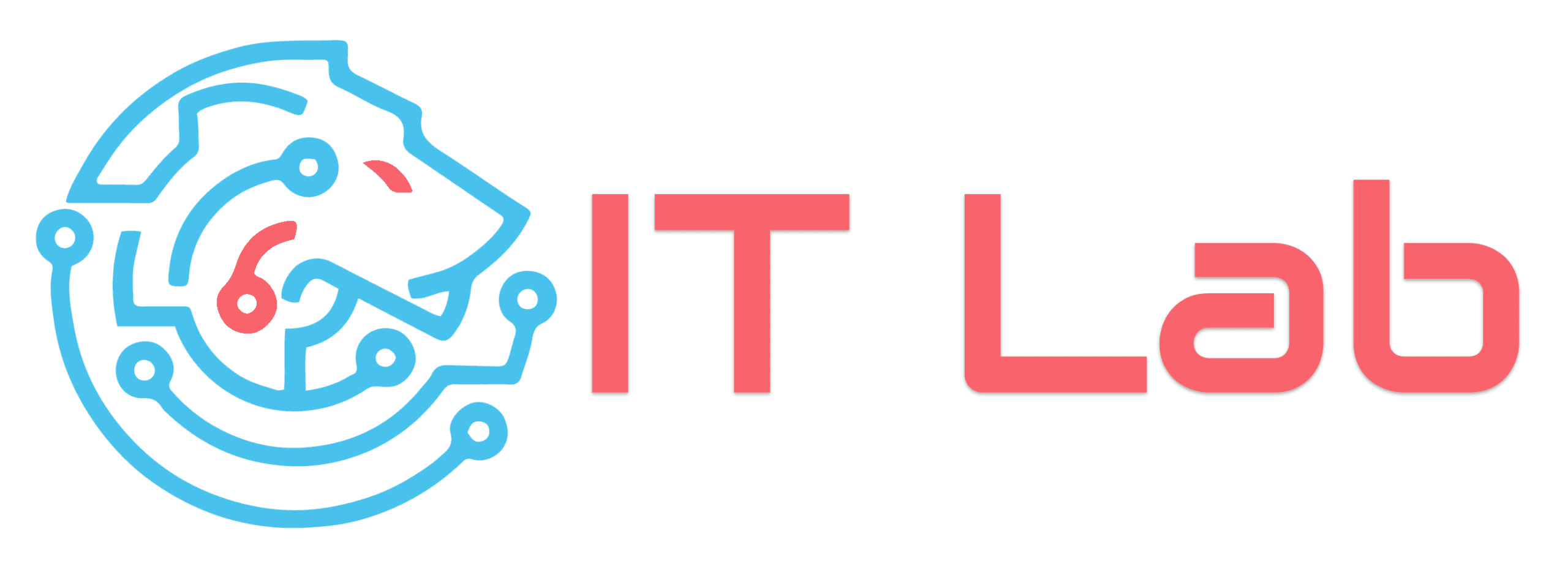 IT Lab